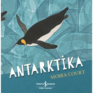 Antarktika - Moira Court