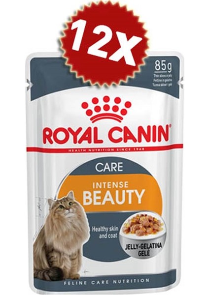 Intense Beauty Jelly Kedi Konservesi 85GRX12ADET