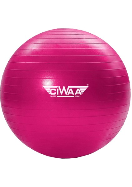 CWA-2045 Pilates Topu 65 cm Pembe