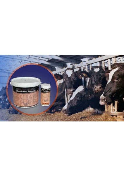 Biotin Hoof Formula 1 kg Tırnak Sağlığı Üzerine Etkili VITAMIN8680751052057