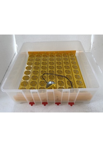 56 Tavuk Yumurta Kuluçka Makinesi indirimleri