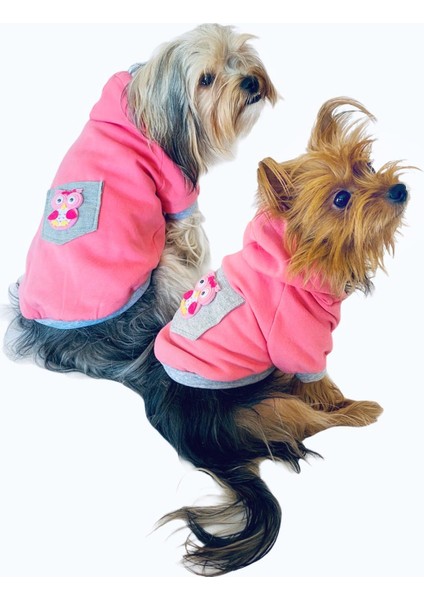 Pembe Baykuş Kapşonlu Sweat By Kemique Köpek Kazağı