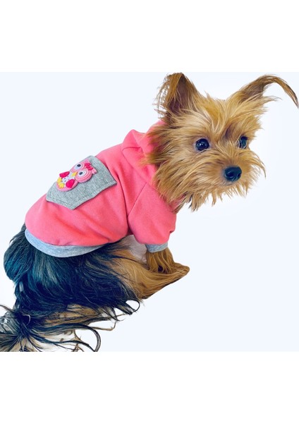 Pembe Baykuş Kapşonlu Sweat By Kemique Köpek Kazağı