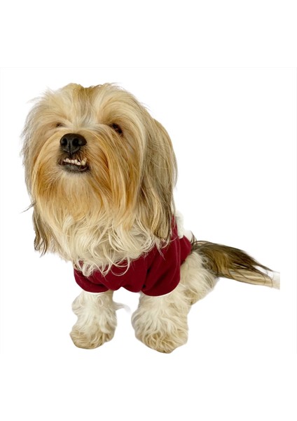 Cream Bordo Kapşonlu Sweat By Kemique Köpek Kazağı indirimleri