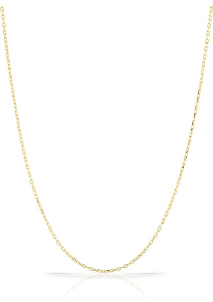 925 Ayar Gümüş Altın Kaplama Forse Zincir Kolye