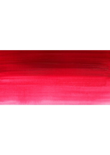Professional Akrilik Boya 60 ml Permanent Rose 502 S.3