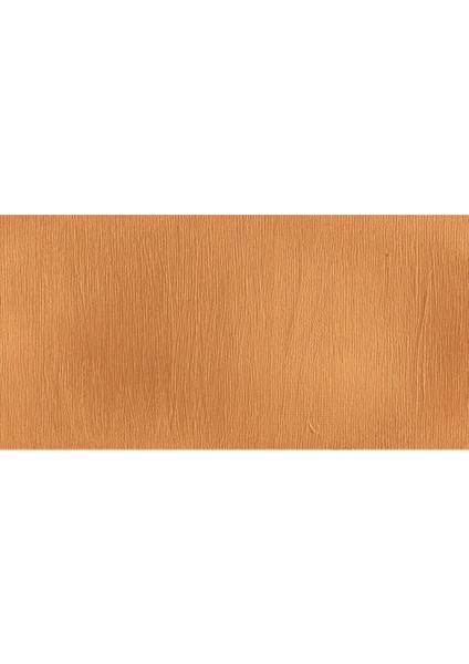 Professional Akrilik Boya 60 ml Renaissance Gold 573 S.3