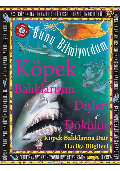 Köpek Balıklarının Dişleri Dökülür - Flowerpot Press