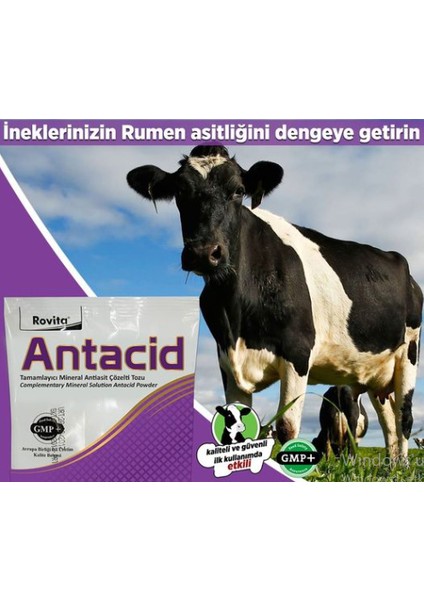 Antacıd Rovıta modelleri