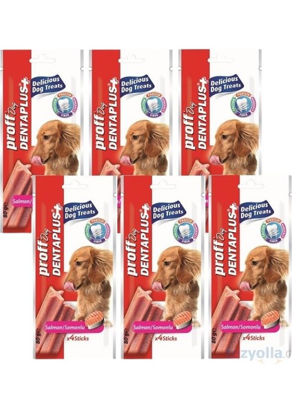 Dog Denta Plus Somonlu Köpek Ödül Çubuğu 4'lü 6 Paket