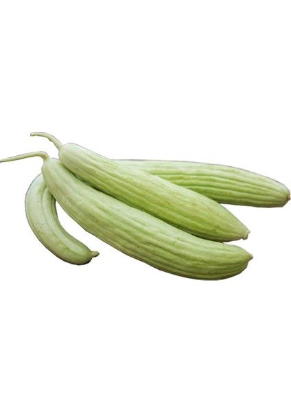 Acur Tohum Hita 150 Tohum