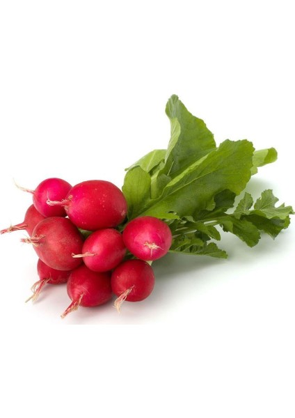 Doğal Big Red Turp Tohum 25 Tohum
