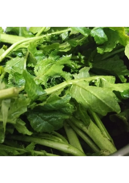 Doğal Hardal Otu Tohum 100 Tohum