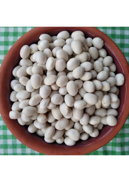 Doğal Sırık Kılçıksız Şeker Fasulye Tohum 20 Tohum