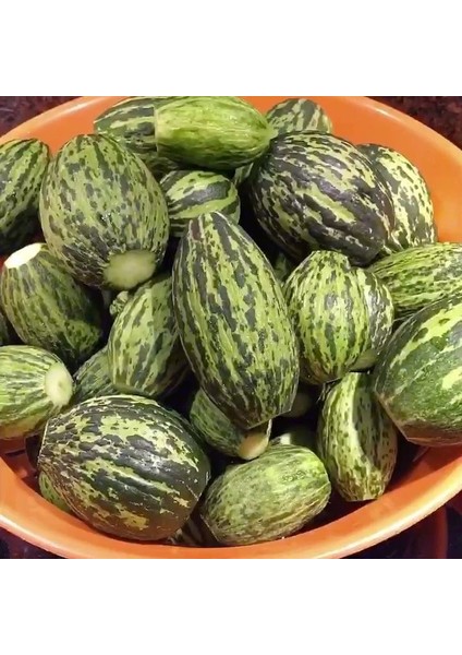 Kavun Tohum Hıdır 4 gr
