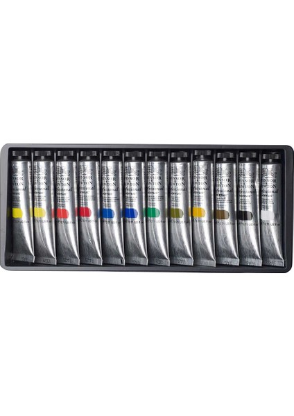 Professional Akrilik Boya Seti 12 x 20 ml Tüp