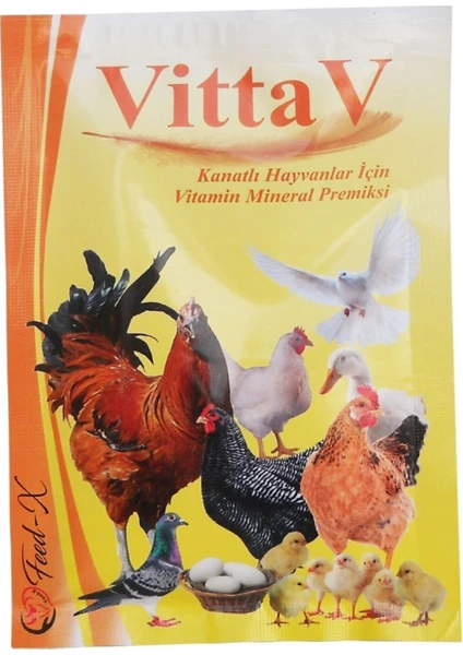 Feed-X Yem ve Katkı Maddeleri Vittav 100GR Tavuk ve Kanatlı Hayvanlar Için Vitamin ve Mineral  Premiks