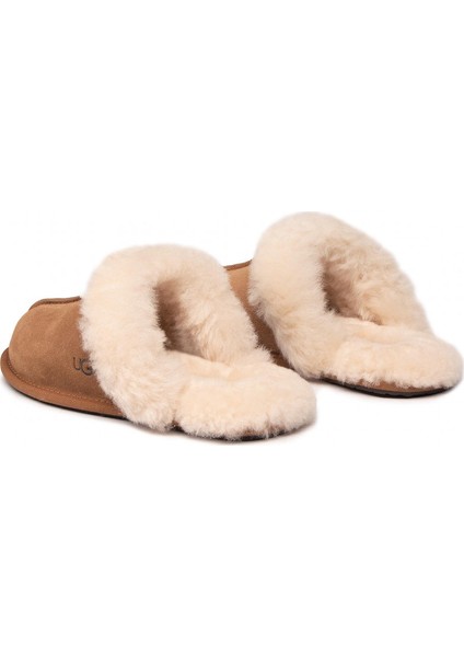 Australia Ugg Kadın Terlik 1106872-CHE fiyatları