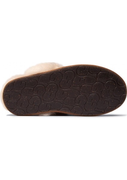 Australia Ugg Kadın Terlik 1106872-CHE modelleri