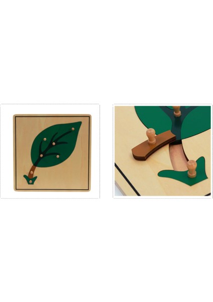 Yaprak Puzzle