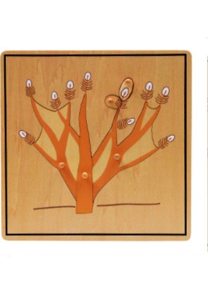 Bitkiler 5’li Puzzle Set