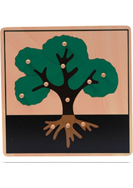 Bitkiler 5’li Puzzle Set