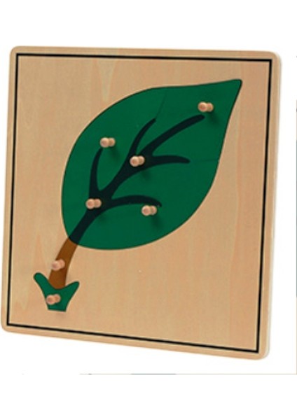 Bitkiler 5’li Puzzle Set