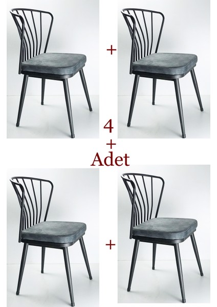 Omega Sandalye 4 Adet Gri