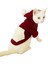 Cream Bordo Sweatshirt Kedi Süeteri Kedi Kıyafeti 1