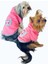 Pembe Baykuş Kapşonlu Sweat By Kemique Köpek Kazağı 1