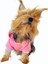 Pembe Baykuş Kapşonlu Sweat By Kemique Köpek Kazağı 5