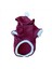 Cream Bordo Kapşonlu Sweat By Kemique Köpek Kazağı 4