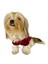 Cream Bordo Kapşonlu Sweat By Kemique Köpek Kazağı 5