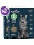 Paticat Aktif Karbonlu Topaklanan Kedi Kumu 6 Lt x 2 1