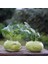 Doğal Yeşil Kohlrabi Alabaş Tohum 20 Tohum 1
