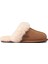 Australia Ugg Kadın Terlik 1106872-CHE 1