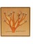 Bitkiler 5’li Puzzle Set 1