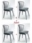 Omega Sandalye 4 Adet Gri 1