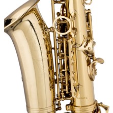 Stagg Alto Saksafon WS-AS215S