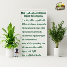 Dr. Worm Yaprak Temizleyici , Koruyucu ve Parlatıcısı Spreysiz Yedek Şişe