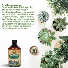 Dr. Worm Kaktüs & Sukulent Organik İçerikli Özel Sıvı Bitki Besini 500 ML