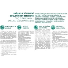 Optimeal Super Premium Sensitive Digestion Kuzu Etli ve Hindi Filetolu Tahılsız Yetişkin Kedi Yaş Maması 85 Gr X 12