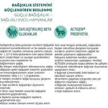 Optimeal Super Premium Sensitive Digestion Kuzu Etli ve Hindi Filetolu Tahılsız Yetişkin Kedi Yaş Maması 85 Gr X 12