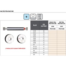 Fett G3/8 -19 Pld DIN228 C998 Boru Için Erkek Gaz Diş Vida Mastarı