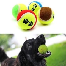 Ofüm 3lü Renkli Desenli Tenis Topu Kedi Köpek Oyuncağı