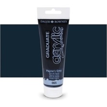 Daler Rowney Graduate Akrilik Boya 120ML 065 Paynes Grey