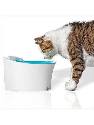 M3 Decorium Motorlu Akar Sulu Kedi Köpek Kuş Su Içme Kabı Haznesi Çeşmesi Şelalesi Çeşmesi Musluğu