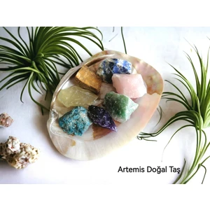 Doğal Taş İstiridye Deniz Kabuğu Ve 7'li Ham Doğal Taş Set
