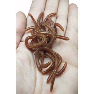 Sr Sazanrig  Yapay Sahte Gerçek Görünümlü 8,5 cm Solucan Worm Balık (10 Adet)
