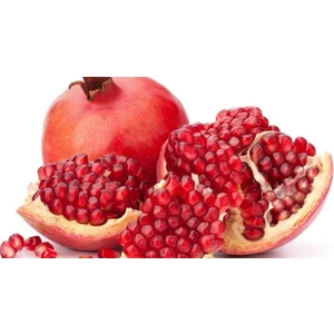 Tüplü Fidan Wonderful Nar Fidanı